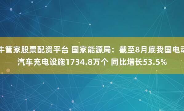 牛管家股票配资平台 国家能源局:截至8月底我国电动汽车充电设施1734.8万个 同比增长53.5%